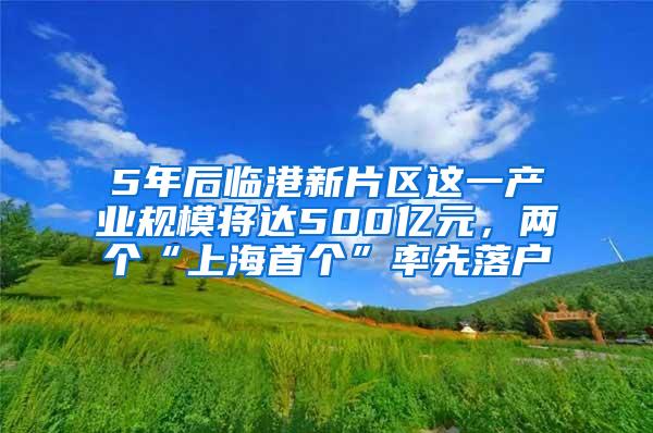 5年后临港新片区这一产业规模将达500亿元，两个“上海首个”率先落户