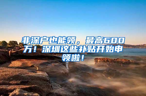 非深户也能领，最高600万！深圳这些补贴开始申领啦！