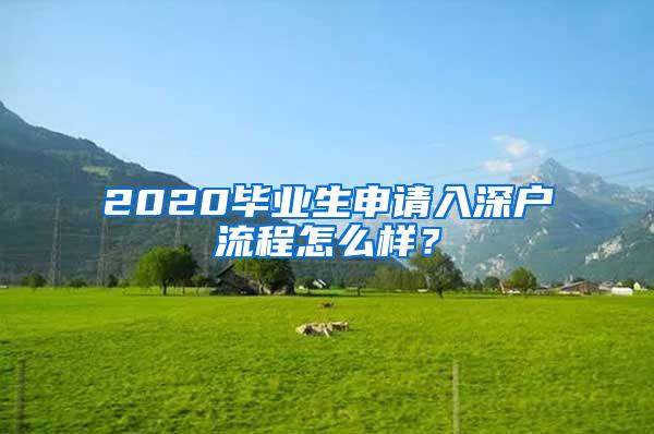 2020毕业生申请入深户流程怎么样？