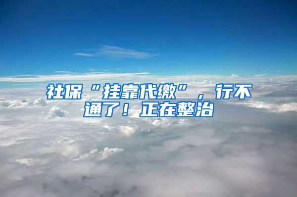 社保“挂靠代缴”，行不通了！正在整治