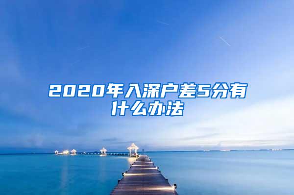 2020年入深户差5分有什么办法