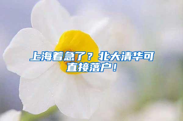 上海着急了？北大清华可直接落户！