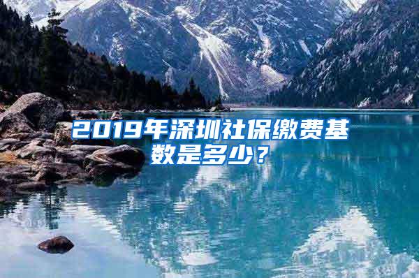 2019年深圳社保缴费基数是多少？