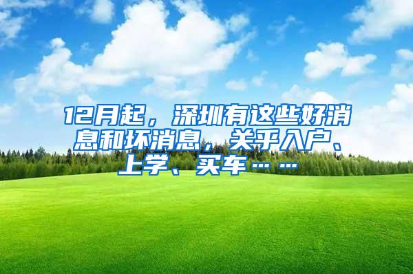 12月起，深圳有这些好消息和坏消息，关乎入户、上学、买车……