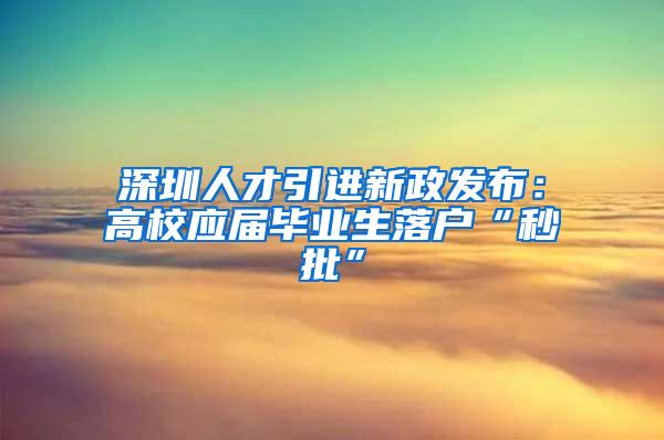 深圳人才引进新政发布：高校应届毕业生落户“秒批”