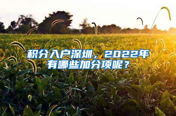 积分入户深圳，2022年有哪些加分项呢？