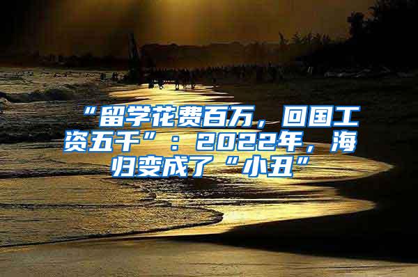 “留学花费百万，回国工资五千”：2022年，海归变成了“小丑”