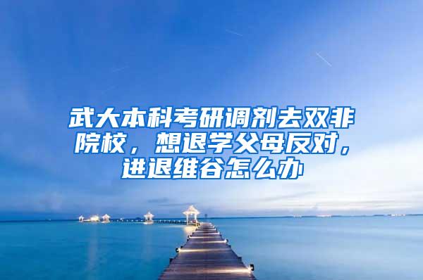 武大本科考研调剂去双非院校，想退学父母反对，进退维谷怎么办