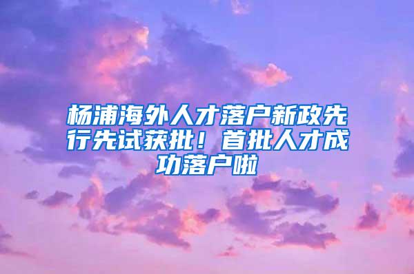 杨浦海外人才落户新政先行先试获批！首批人才成功落户啦