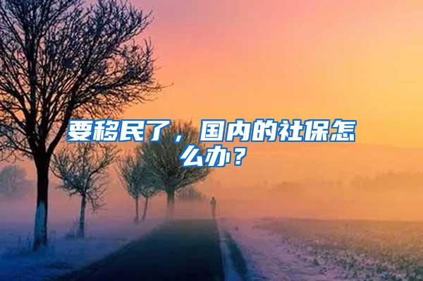 要移民了，国内的社保怎么办？