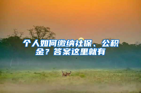 个人如何缴纳社保、公积金？答案这里就有