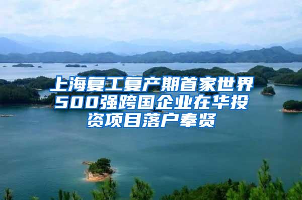 上海复工复产期首家世界500强跨国企业在华投资项目落户奉贤