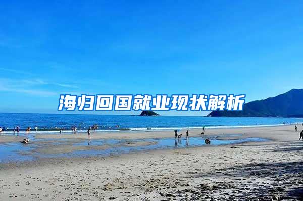 海归回国就业现状解析