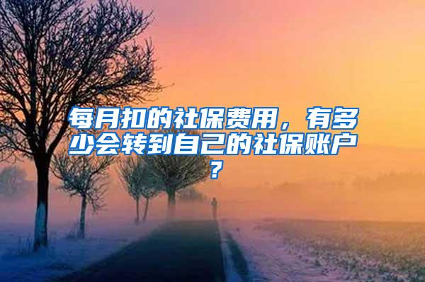 每月扣的社保费用，有多少会转到自己的社保账户？