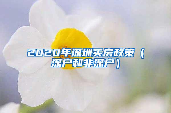 2020年深圳买房政策（深户和非深户）