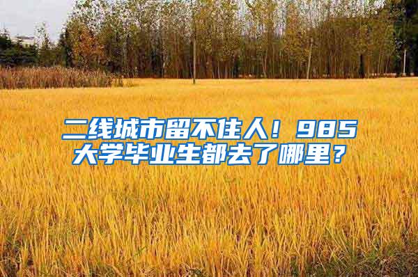 二线城市留不住人！985大学毕业生都去了哪里？