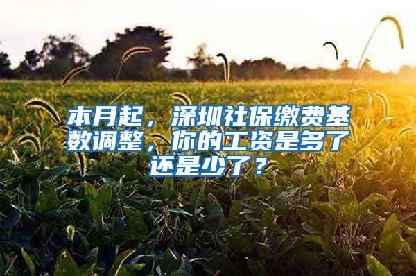 本月起，深圳社保缴费基数调整，你的工资是多了还是少了？