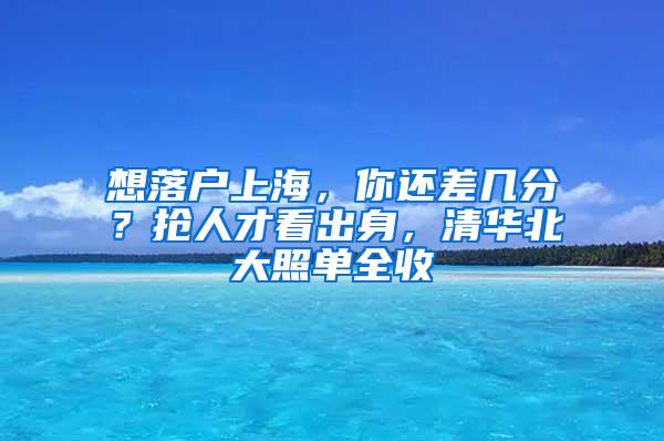 想落户上海，你还差几分？抢人才看出身，清华北大照单全收