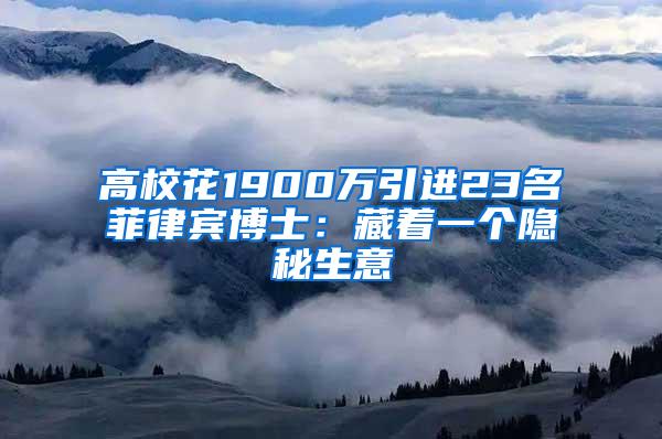 高校花1900万引进23名菲律宾博士：藏着一个隐秘生意