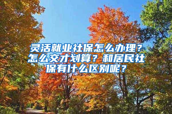 灵活就业社保怎么办理？怎么交才划算？和居民社保有什么区别呢？