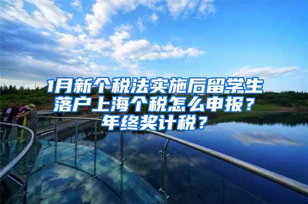 1月新个税法实施后留学生落户上海个税怎么申报？年终奖计税？