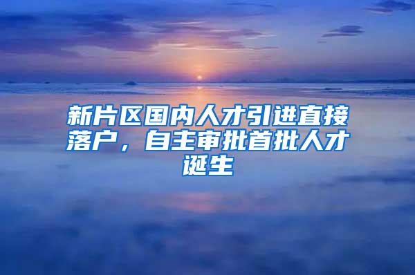 新片区国内人才引进直接落户，自主审批首批人才诞生