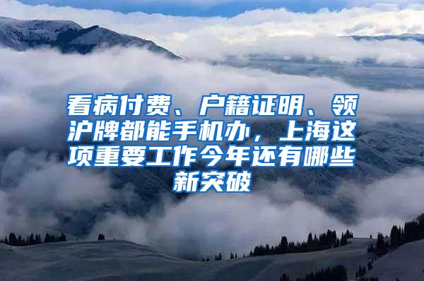 看病付费、户籍证明、领沪牌都能手机办，上海这项重要工作今年还有哪些新突破