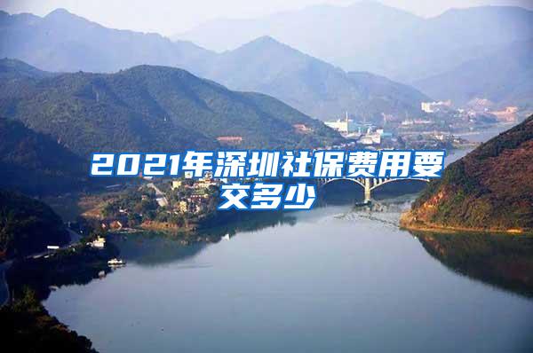 2021年深圳社保费用要交多少