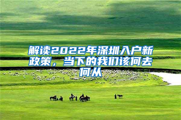 解读2022年深圳入户新政策，当下的我们该何去何从