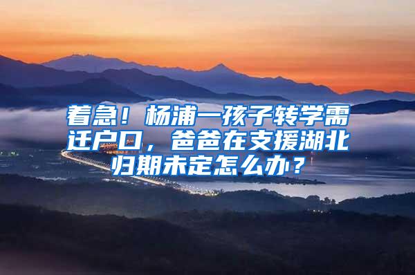 着急！杨浦一孩子转学需迁户口，爸爸在支援湖北归期未定怎么办？