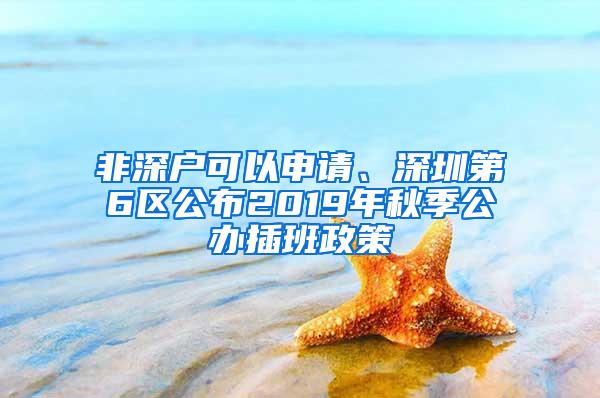 非深户可以申请、深圳第6区公布2019年秋季公办插班政策