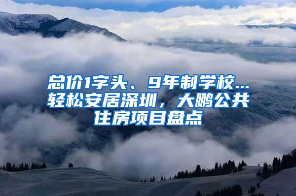 总价1字头、9年制学校...轻松安居深圳，大鹏公共住房项目盘点
