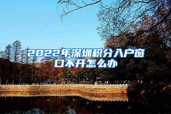 2022年深圳积分入户窗口不开怎么办