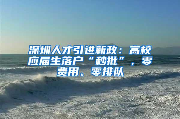 深圳人才引进新政：高校应届生落户“秒批”，零费用、零排队