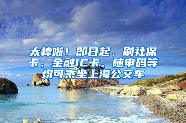 太棒啦！即日起，刷社保卡、金融IC卡、随申码等均可乘坐上海公交车