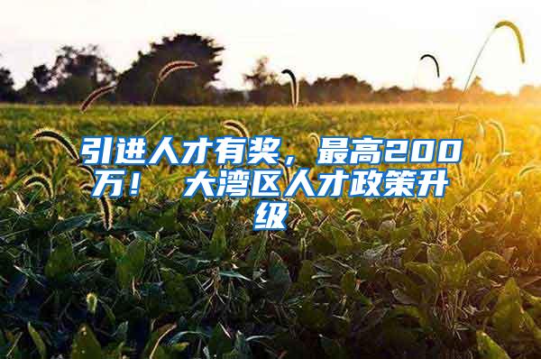 引进人才有奖，最高200万！ 大湾区人才政策升级