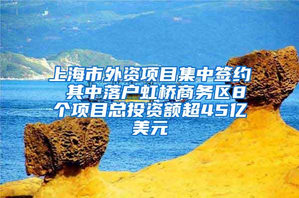 上海市外资项目集中签约 其中落户虹桥商务区8个项目总投资额超45亿美元