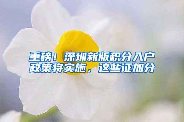 重磅！深圳新版积分入户政策将实施，这些证加分