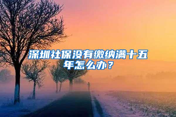 深圳社保没有缴纳满十五年怎么办？