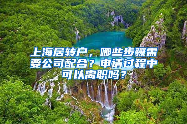 上海居转户，哪些步骤需要公司配合？申请过程中可以离职吗？