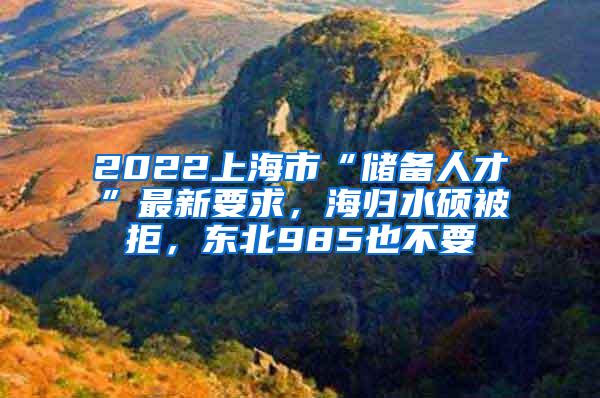 2022上海市“储备人才”最新要求，海归水硕被拒，东北985也不要