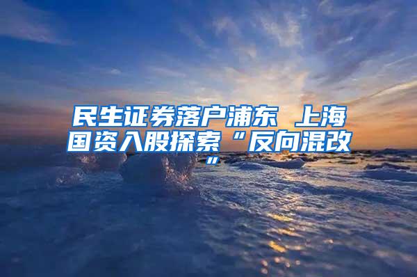 民生证券落户浦东 上海国资入股探索“反向混改”