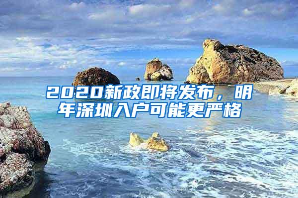 2020新政即将发布，明年深圳入户可能更严格