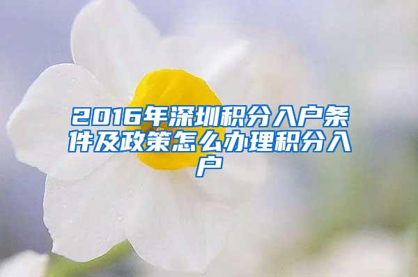 2016年深圳积分入户条件及政策怎么办理积分入户