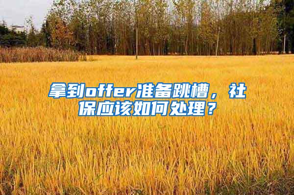 拿到offer准备跳槽，社保应该如何处理？