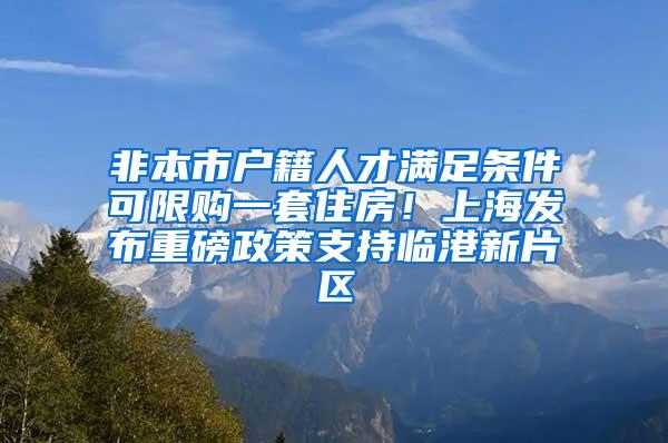 非本市户籍人才满足条件可限购一套住房！上海发布重磅政策支持临港新片区