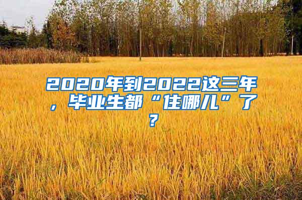 2020年到2022这三年，毕业生都“住哪儿”了？