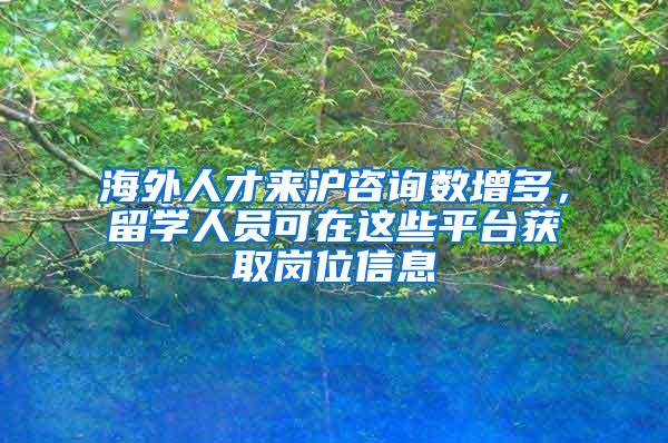 海外人才来沪咨询数增多，留学人员可在这些平台获取岗位信息