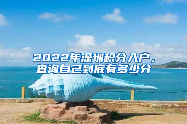 2022年深圳积分入户，查询自己到底有多少分