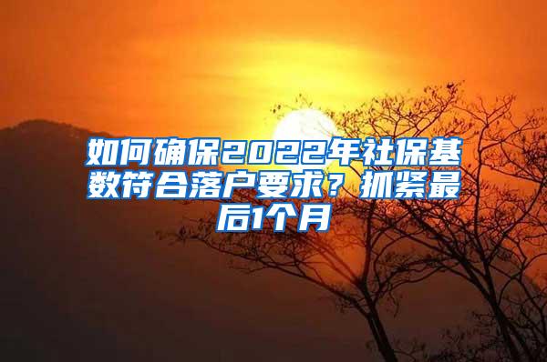 如何确保2022年社保基数符合落户要求？抓紧最后1个月